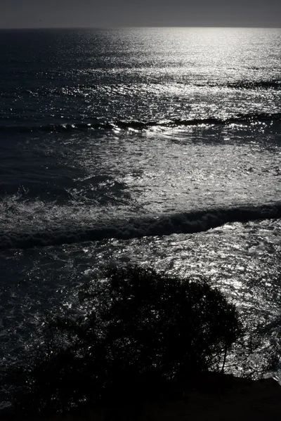 DSC_6976 (Large).JPG